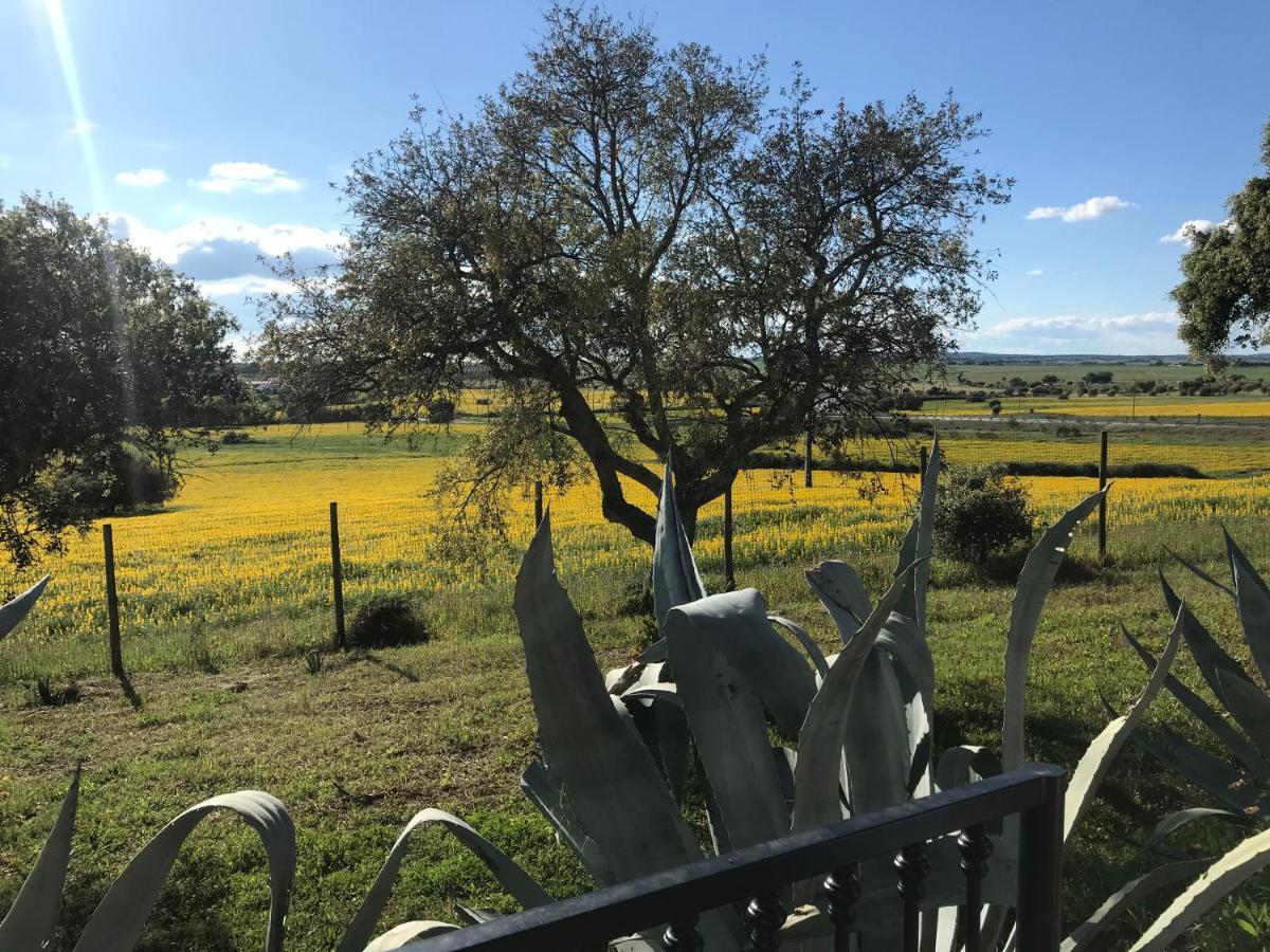 Villa Quinta Da Colina Évora Exterior foto